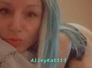 AlleyKat113