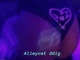 Alleycat_ddlg