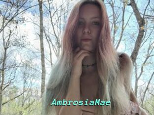 AmbrosiaMae