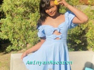 AminyanMacaron