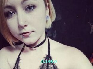 Aneko