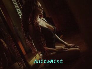 AnitaMint