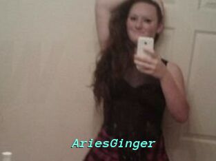 AriesGinger