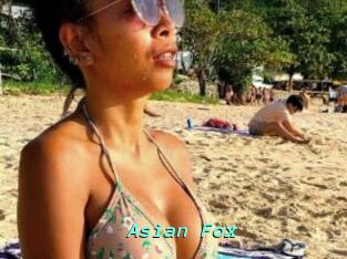 Asian_Fox