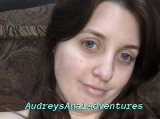 AudreysAnalAdventures