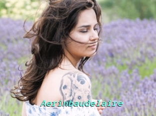 Aerinbaudelaire