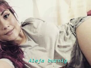 Aleja_burnig