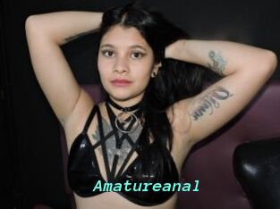 Amatureanal