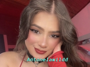 Antonelawildd