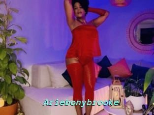 Ariebonybrooke