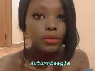 Autumnbeagle