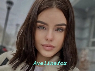 Avelinafox