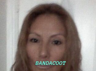 BANDACOOT