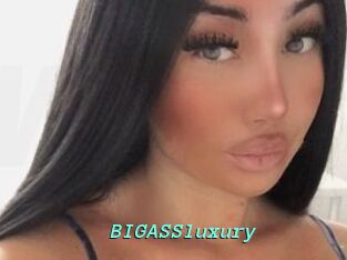 BIGASSluxury