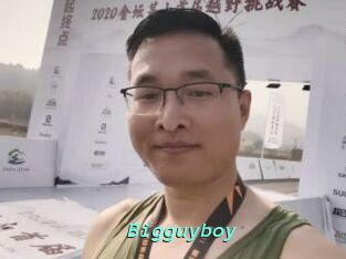 Bigguyboy
