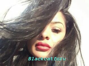 Blackcatforu
