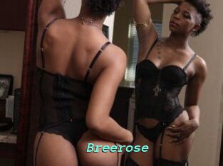 Breerose