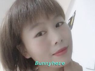 Bunnyhere