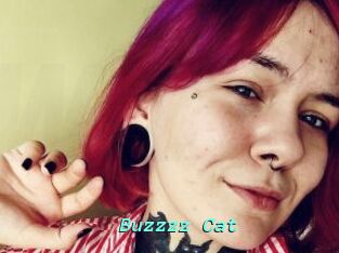 Buzzzz_Cat