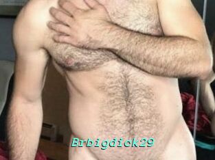 Brbigdick29