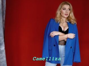 Camelliza