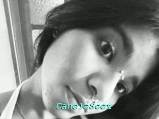 CanelaSeex