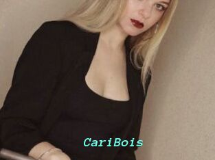 CariBois