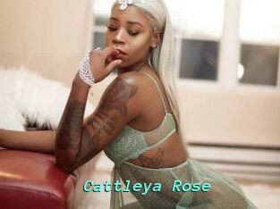 Cattleya_Rose