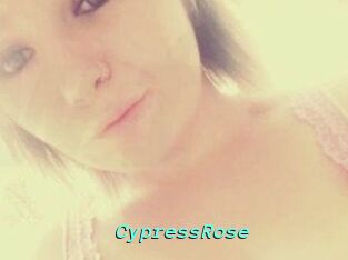 Cypress_Rose
