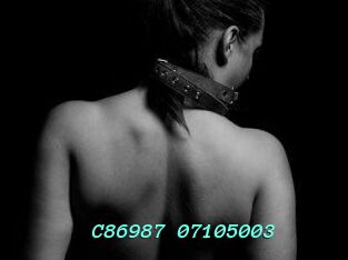 C86987-07105003