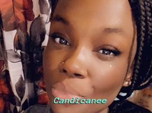 Candicanee