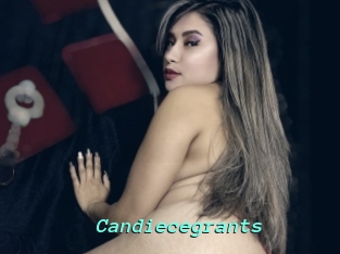 Candiecegrants