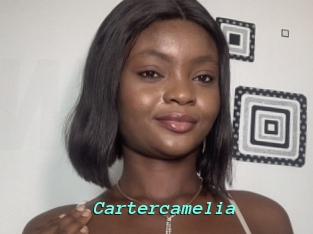 Cartercamelia
