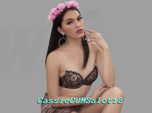 CassieCUMSalot18