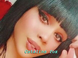 Catalina_fox