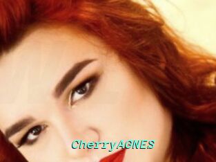 CherryAGNES