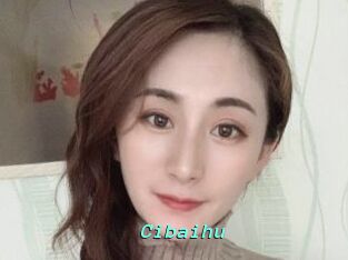 Cibaihu