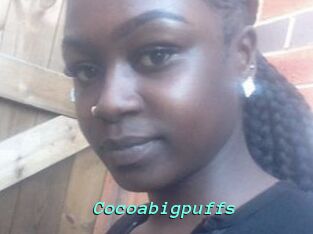 Cocoabigpuffs