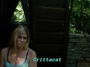 Crittacat