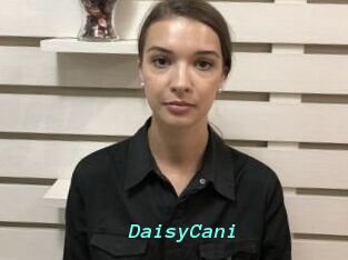 DaisyCani