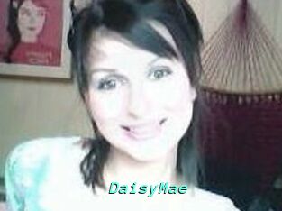 Daisy_Mae