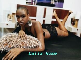 Dalia_Rose