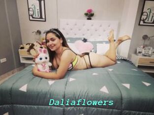 Daliaflowers