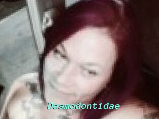 Desmodontidae