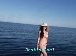 DestinyAnel