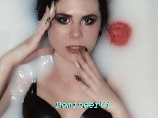 DomineerVi