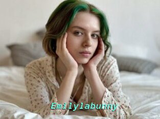 Emilylabunny