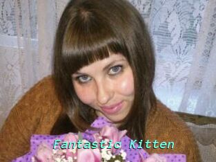Fantastic_Kitten
