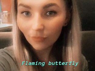 Flaming_butterfly