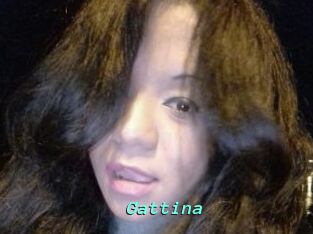 Gattina